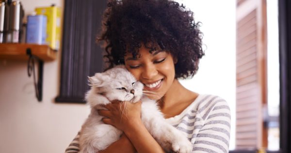 Stem Cell Treatments for Pets