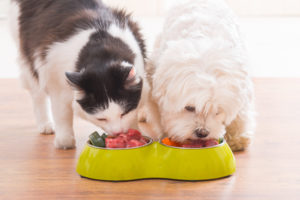whole food nutrition