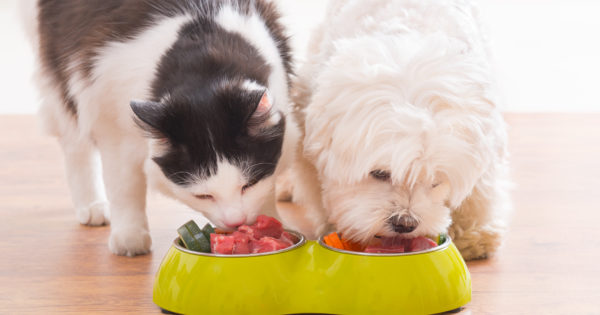 whole food nutrition