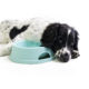 The Pet Food Industry