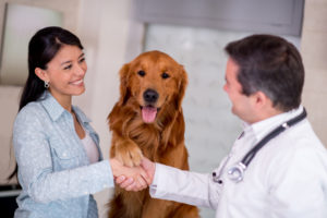 Healing your pets with Oxygen