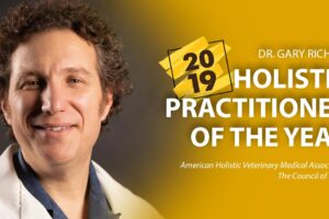practitioner of the year