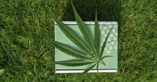 thc