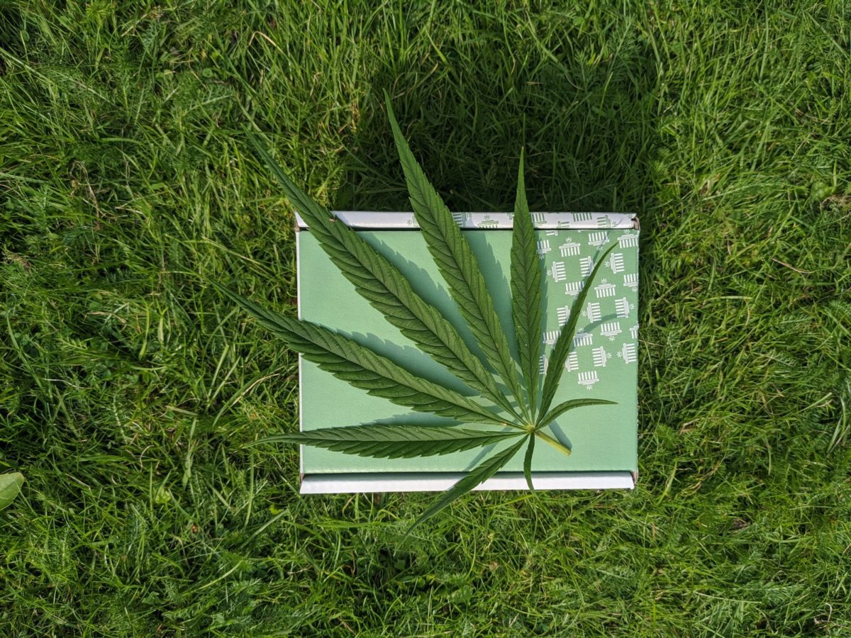Photo by herbadea Berlin thc