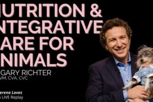 integrative care for animals