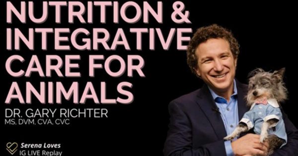 integrative care for animals
