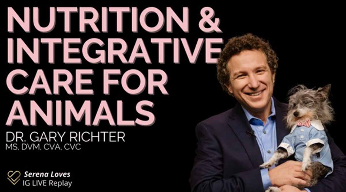 integrative care for animals