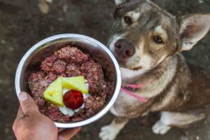 raw diet