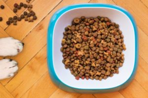 dangers of processed pet food